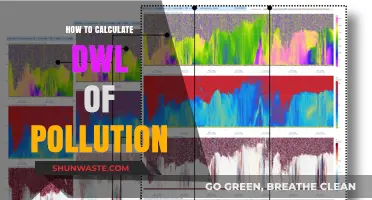 Calculating Pollution's Deadweight Loss: A Comprehensive Guide