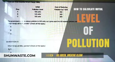 Calculating Initial Pollution Levels: A Comprehensive Guide