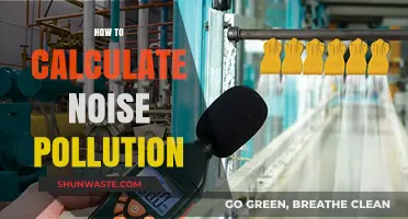 Assessing Noise Pollution: Calculating the Decibel Damage