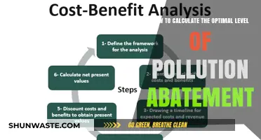Pollution Abatement: Finding the Balance with Cost-Effective Strategies