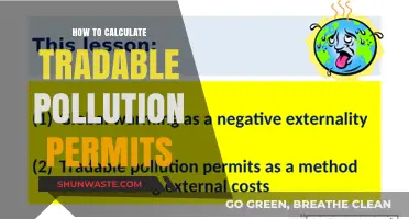Calculating Tradable Pollution Permits: A Comprehensive Guide