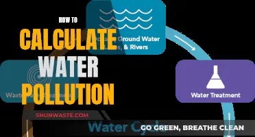 Unveiling the Science: A Guide to Water Pollution Calculation