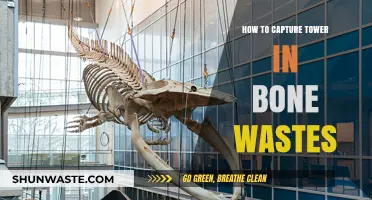 Mastering Tower Capture Strategies in Bone Wastes: A Comprehensive Guide