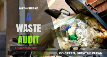 Mastering Waste Audits: A Step-by-Step Guide to Sustainable Practices