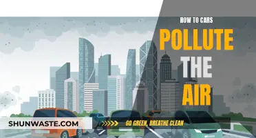 Cars: Air Polluters and Ways to Reduce Emissions