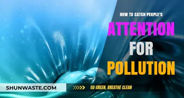 The Pollution Crisis: How to Grab Attention