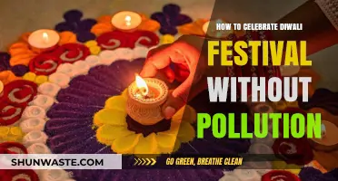 Green Diwali: Celebrate Without Pollution