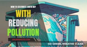 Celebrating Earth Day: Pollution Reduction Strategies