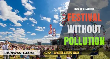 Green Celebrations: Joyful Festivals, No Pollution