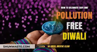 Green Diwali: Safe and Pollution-Free Ways to Celebrate
