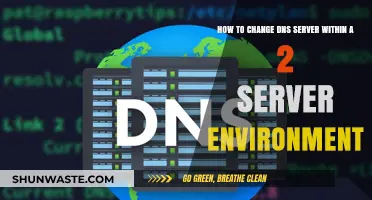 Changing DNS Servers in a Dual-Server Setup: A Step-by-Step Guide