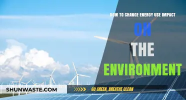 Sustainable Energy Choices: Reducing Environmental Impact Through Smart Usage