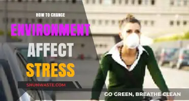 Transform Your Surroundings: Practical Tips to Reduce Stress Naturally