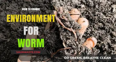 Transform Your Worm's Habitat: Simple Steps for a Healthier Environment