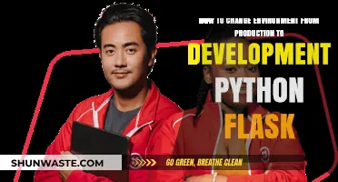 Switch Flask Environment: Production to Development Mode in Python