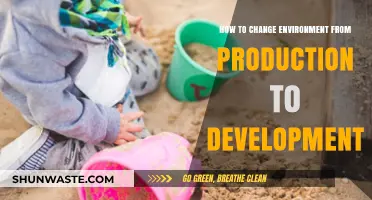 Switching Environments: A Guide to Transition from Production to Development