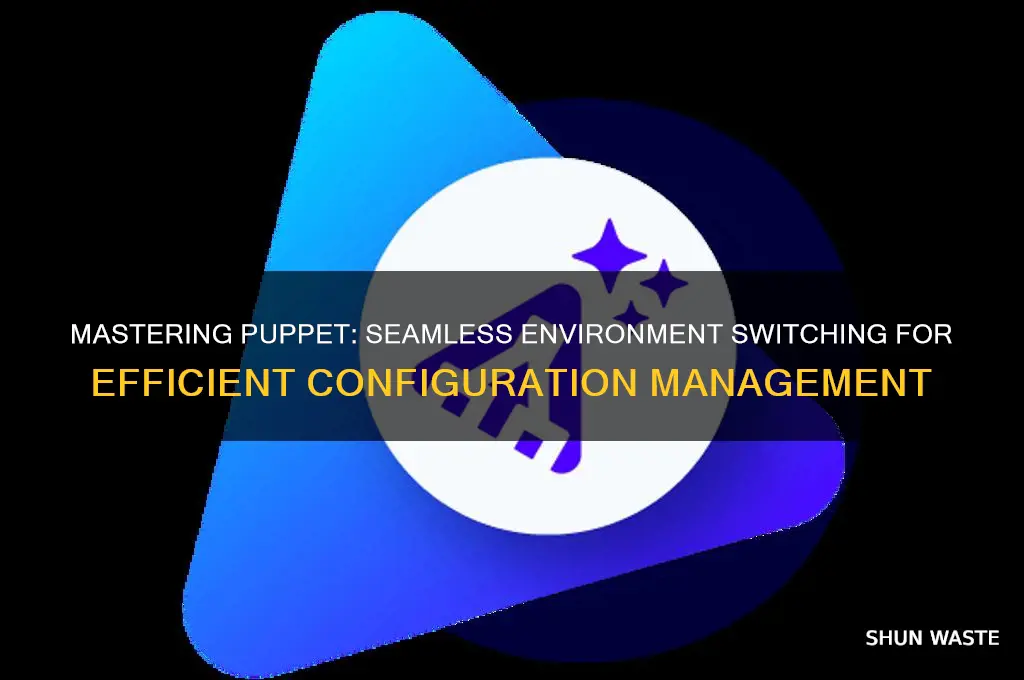 how to change environment in puppet