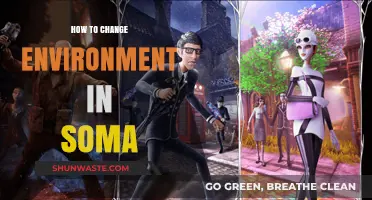 Transform Your Soma Experience: Mastering Environment Changes Effortlessly