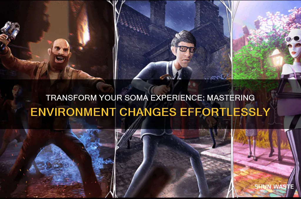 how to change environment in soma