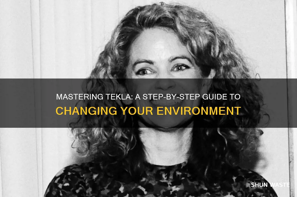 how to change environment in tekla