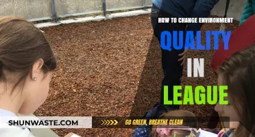 Transform Your League Experience: Enhancing Environment Quality for Better Gameplay