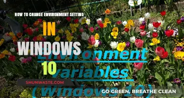 Mastering Windows 10: A Guide to Changing Environment Settings