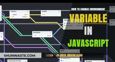 Mastering Environment Variables in JavaScript: A Quick Guide to Changing Them
