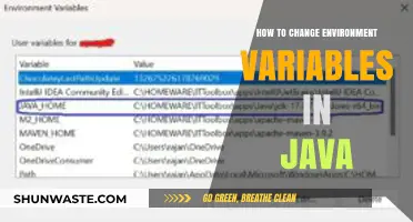Mastering Java: A Guide to Modifying Environment Variables Effectively