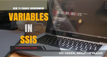 Mastering SSIS: A Guide to Modifying Environment Variables Effectively