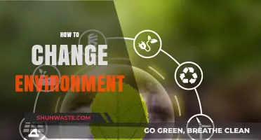 Transform Your Surroundings: Practical Steps to Change Your Environment Effectively