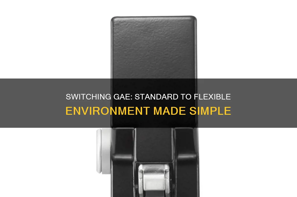 how to change gae from standard to flexible environment