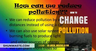 Transforming Pollution: Strategies for a Sustainable Future