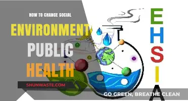 Transforming Social Environments: Strategies for Enhancing Public Health Outcomes