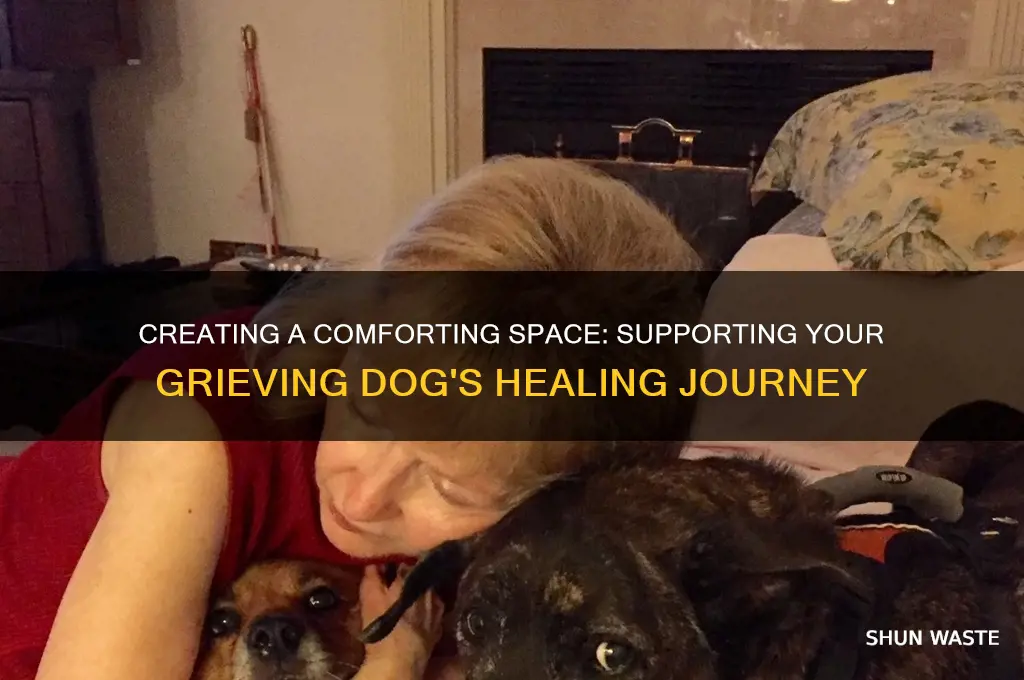 how to change the environment for a grieving dog