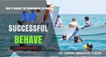Transform Your Environment: Key Strategies for Successful Behavioral Change