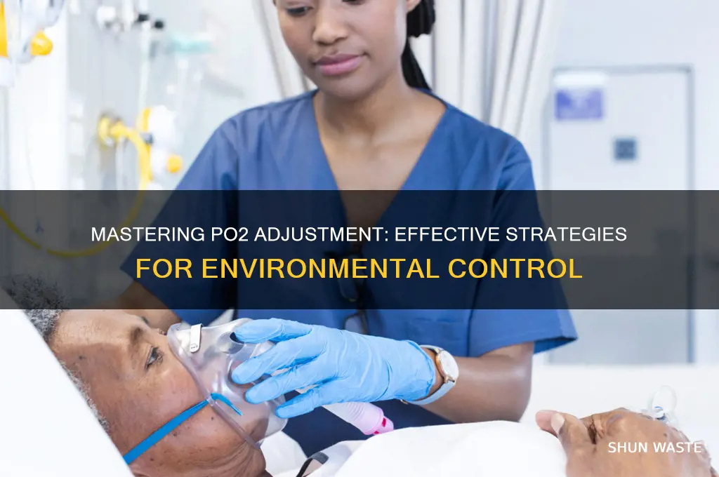how to change the po2 in this environment