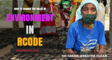 Changing Environment Values in R: A Step-by-Step Guide