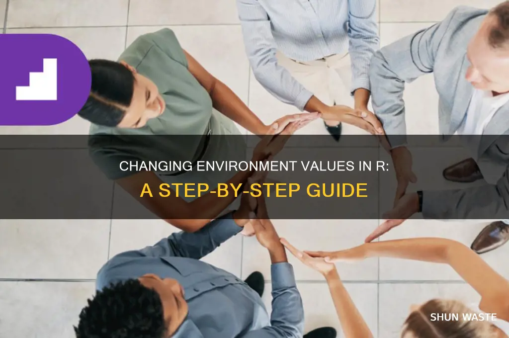how to change the value in environment in rcode