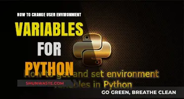 Mastering Python: A Guide to Modifying User Environment Variables