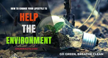 Sustainable Living: Simple Steps to Transform Your Lifestyle and Protect the Planet