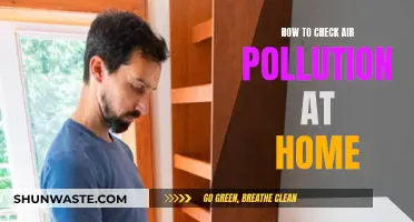 Monitoring Air Quality: Simple Home Checks for Pollution