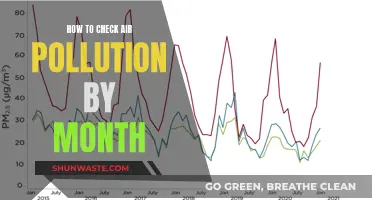 Air Pollution Check: Monthly Monitoring for Better Insights