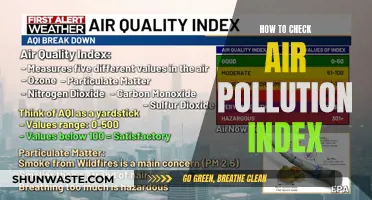 Air Quality Awareness: Monitoring Pollution Index