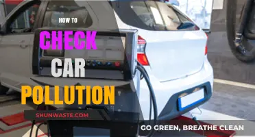 Keep Your Car Green: Check Pollution the Right Way