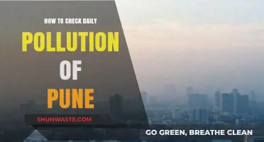 Pune's Daily Pollution: An Eye on the Air
