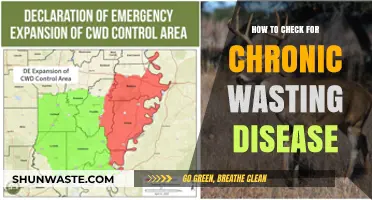 Detecting Chronic Wasting Disease: Essential Steps for Early Identification