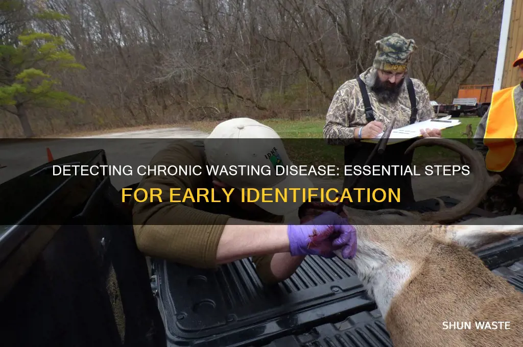 how to check for chronic wasting disease