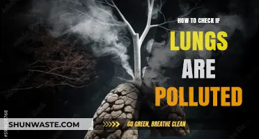 Lung Pollution: Self-Check and Prevention Tips