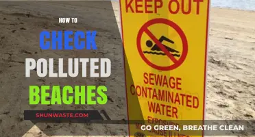 Spotting Polluted Beaches: A Guide to Protecting Our Oceans