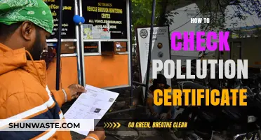 Get Your Pollution Certificate: A Quick Guide